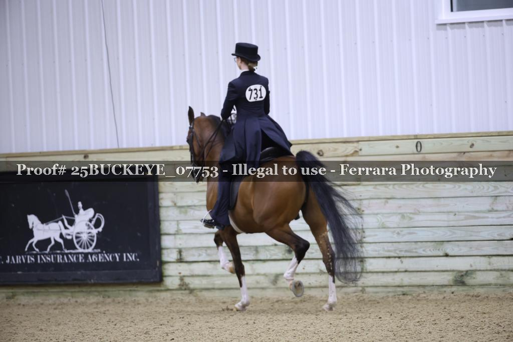 Proof Number 25BUCKEYE_07753