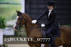 25BUCKEYE_07777 thumbnail