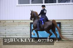 25BUCKEYE_07780 thumbnail
