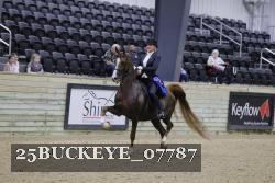 25BUCKEYE_07787 thumbnail