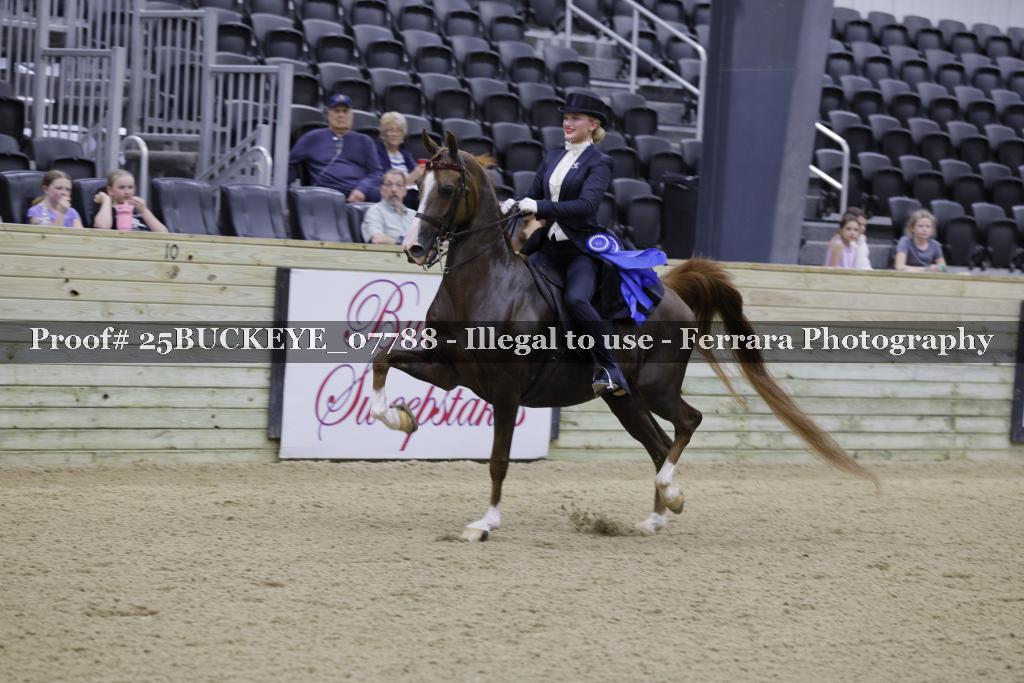 Proof Number 25BUCKEYE_07788