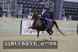 25BUCKEYE_07788 thumbnail