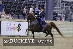 25BUCKEYE_07789 thumbnail