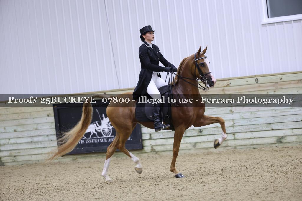 Proof Number 25BUCKEYE_07800