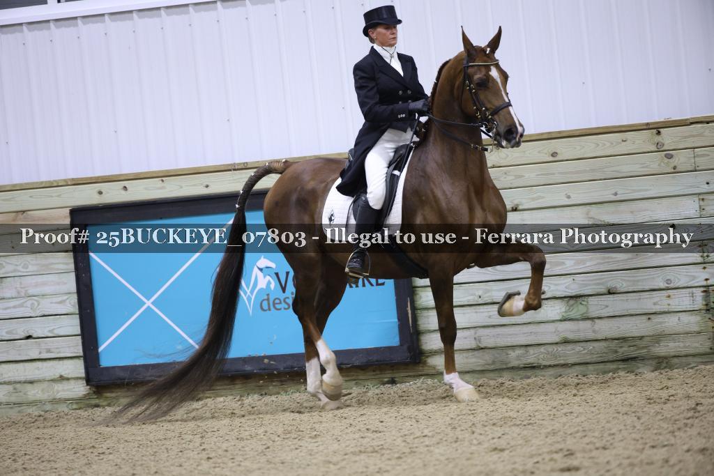 Proof Number 25BUCKEYE_07803