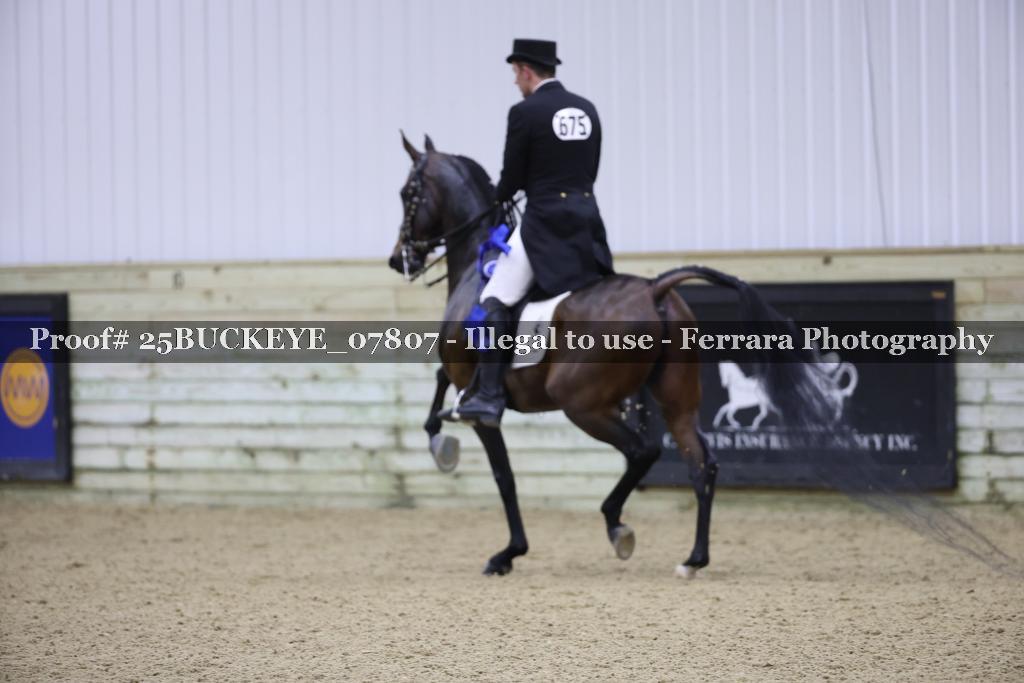 Proof Number 25BUCKEYE_07807