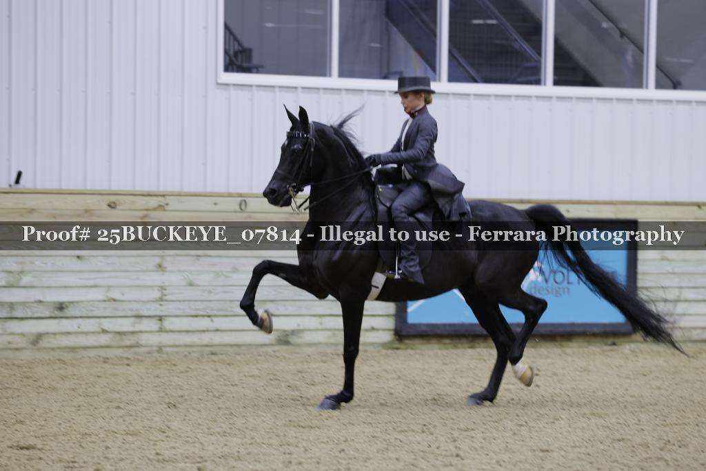 Proof Number 25BUCKEYE_07814