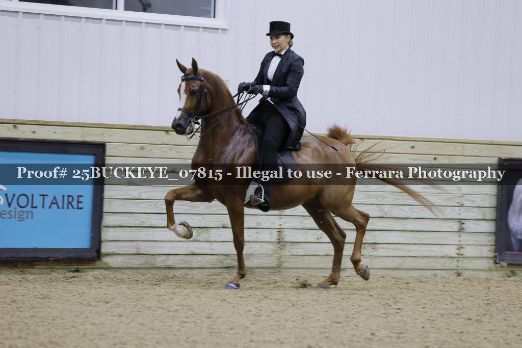 Proof Number 25BUCKEYE_07815