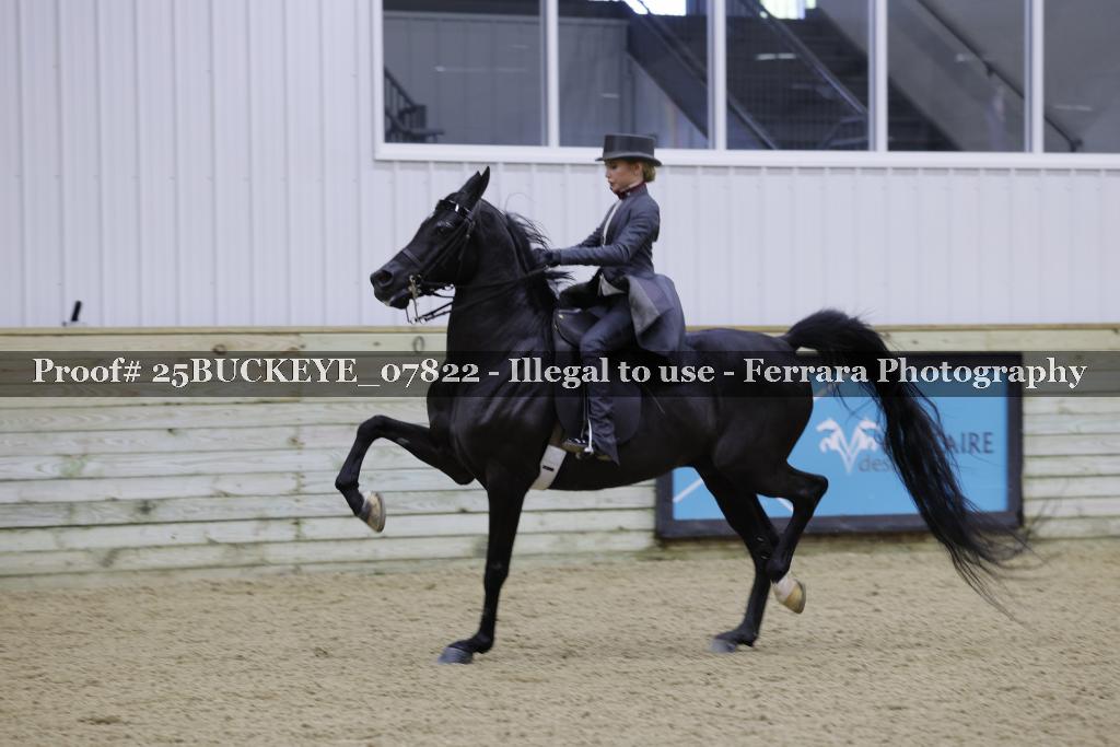 Proof Number 25BUCKEYE_07822