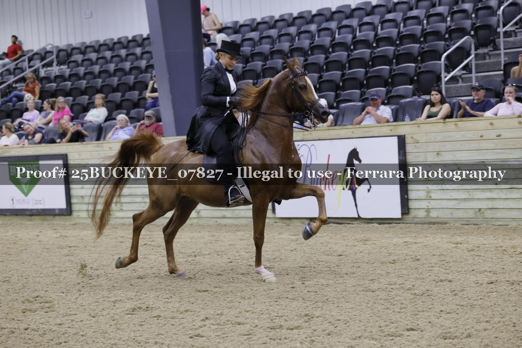 Proof Number 25BUCKEYE_07827