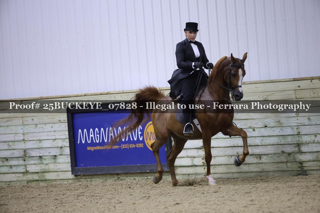 Proof Number 25BUCKEYE_07828