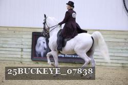 25BUCKEYE_07838 thumbnail