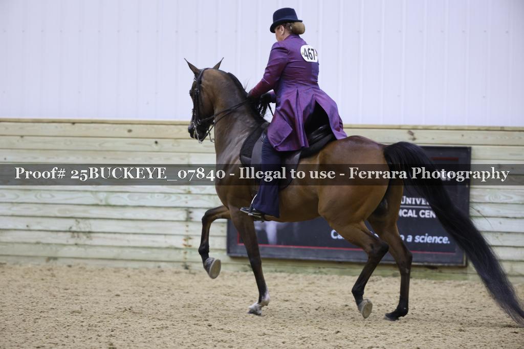 Proof Number 25BUCKEYE_07840