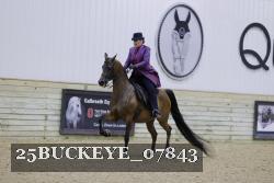 25BUCKEYE_07843 thumbnail
