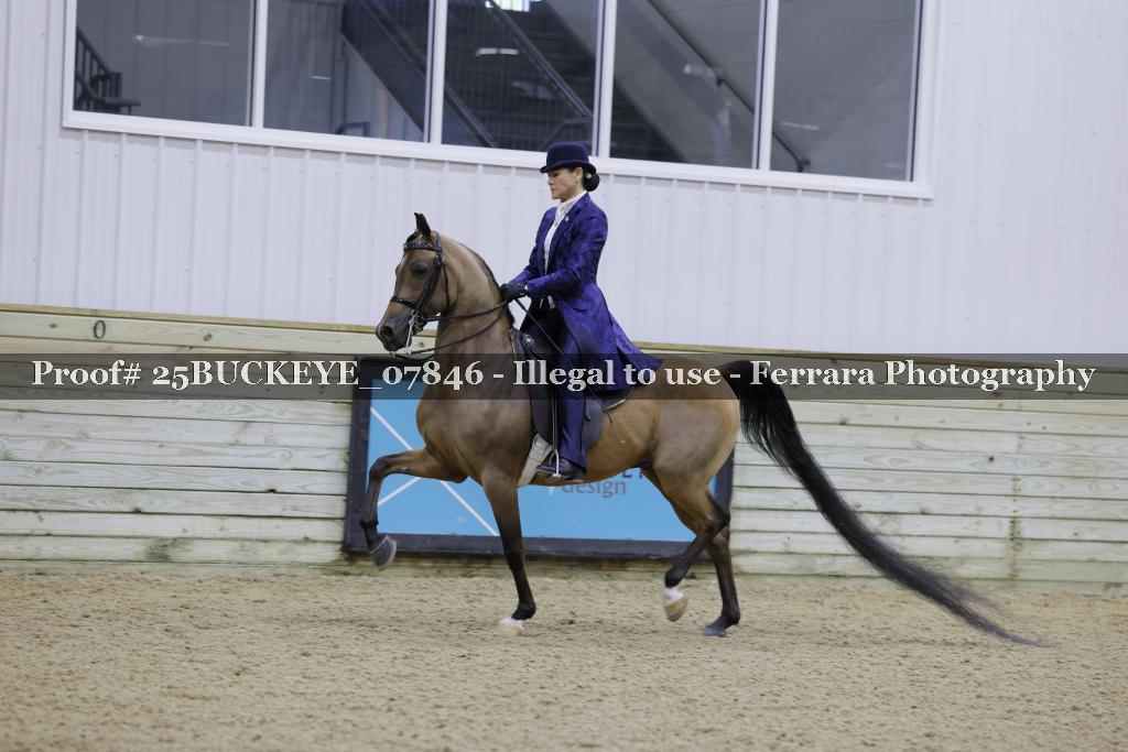 Proof Number 25BUCKEYE_07846