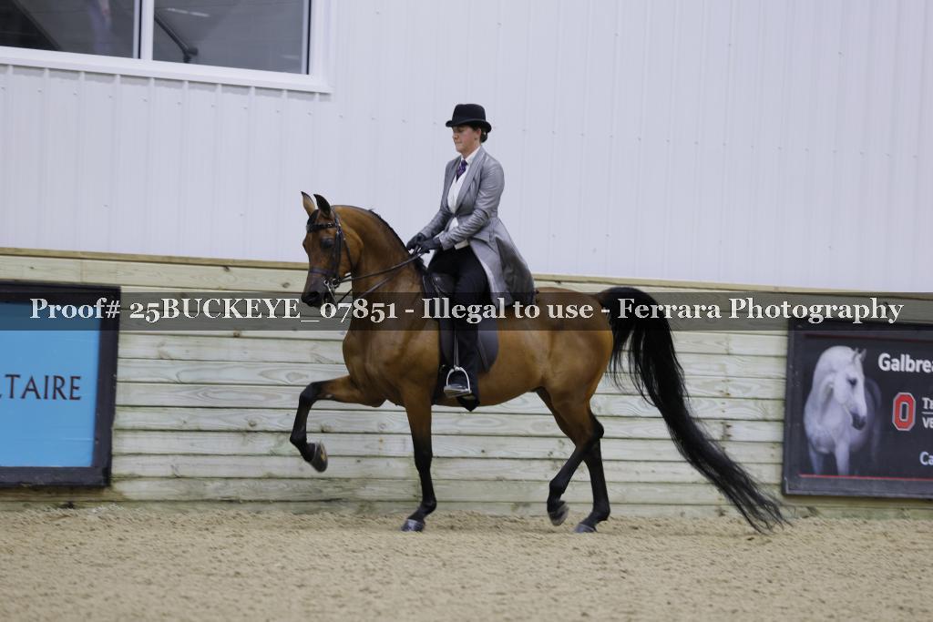 Proof Number 25BUCKEYE_07851