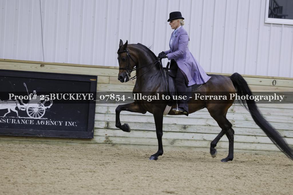 Proof Number 25BUCKEYE_07854