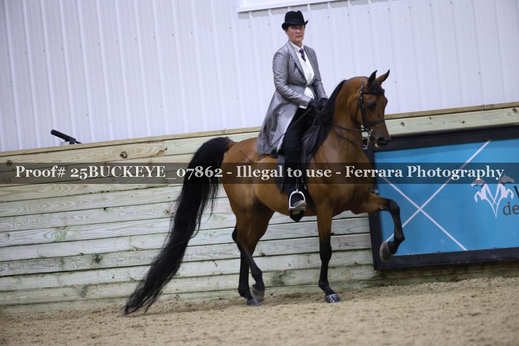 Proof Number 25BUCKEYE_07862