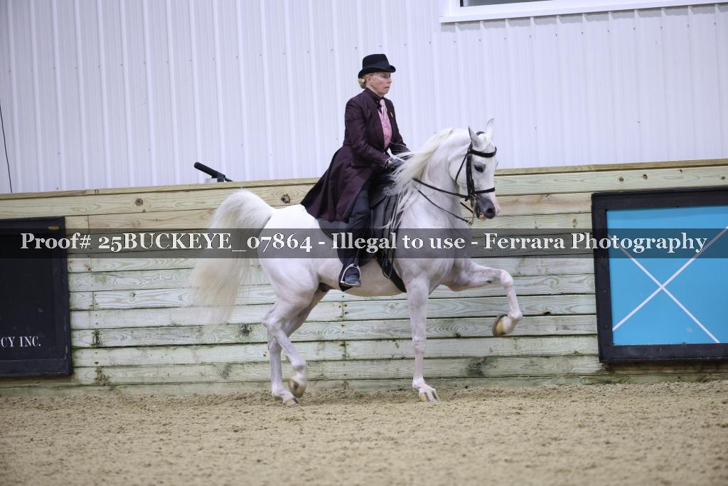 Proof Number 25BUCKEYE_07864