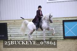 25BUCKEYE_07864 thumbnail
