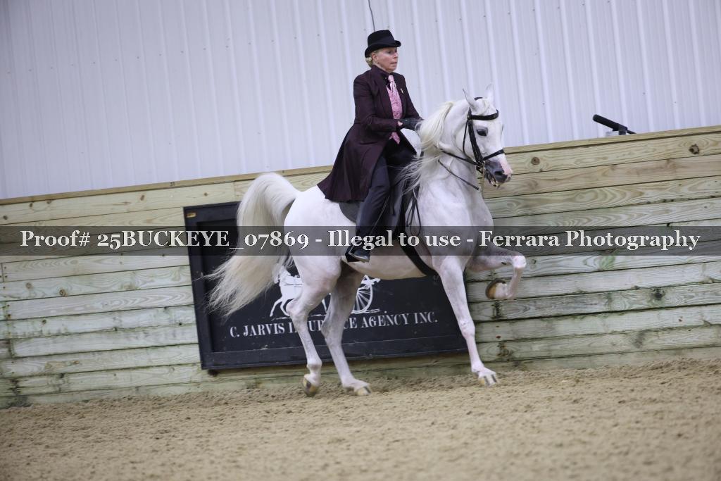 Proof Number 25BUCKEYE_07869