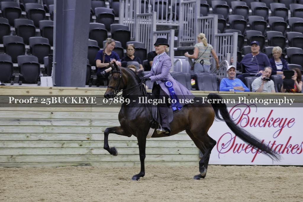 Proof Number 25BUCKEYE_07889