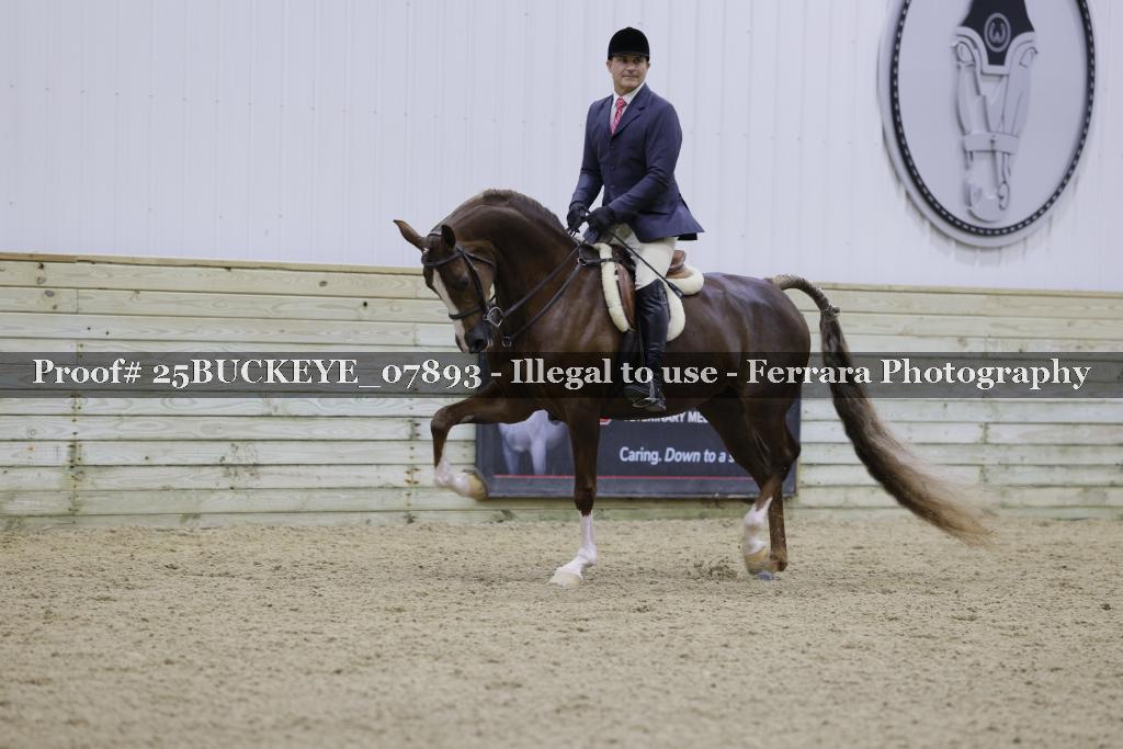 Proof Number 25BUCKEYE_07893