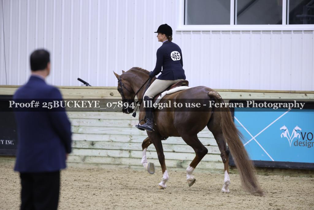 Proof Number 25BUCKEYE_07894