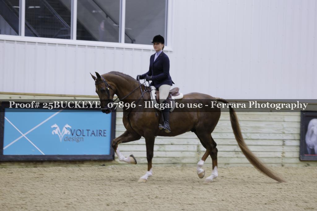 Proof Number 25BUCKEYE_07896