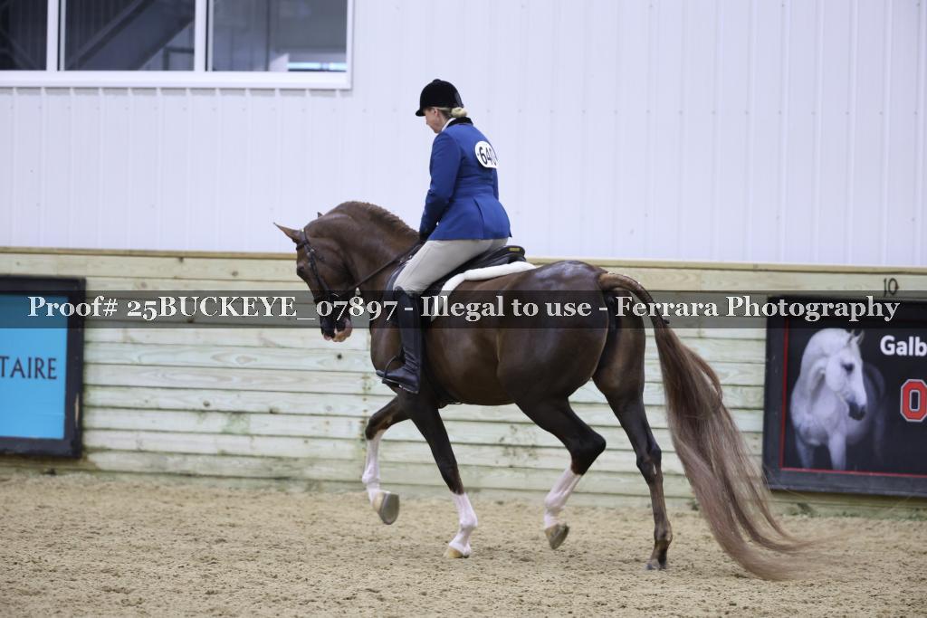 Proof Number 25BUCKEYE_07897