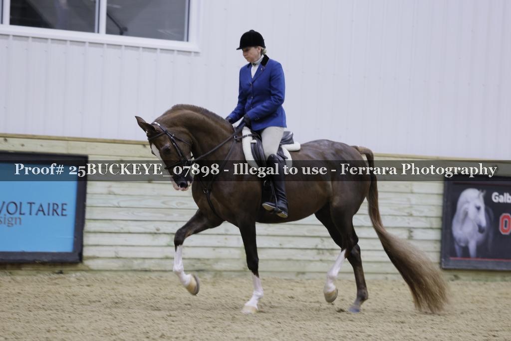 Proof Number 25BUCKEYE_07898