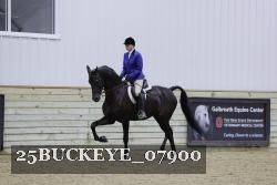 25BUCKEYE_07900 thumbnail
