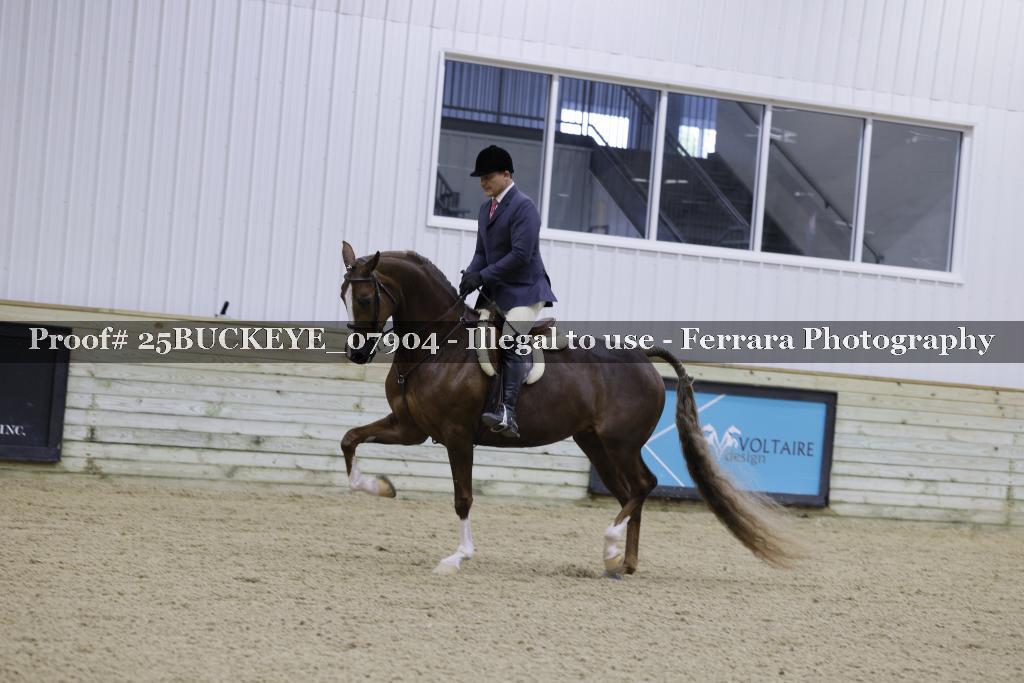 Proof Number 25BUCKEYE_07904