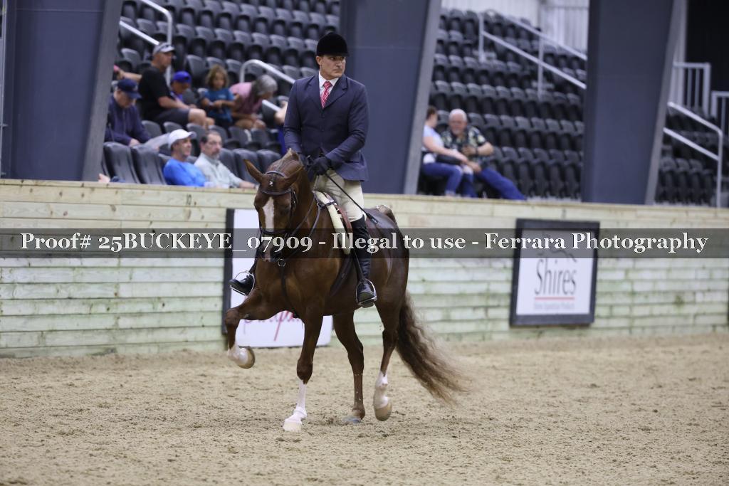 Proof Number 25BUCKEYE_07909