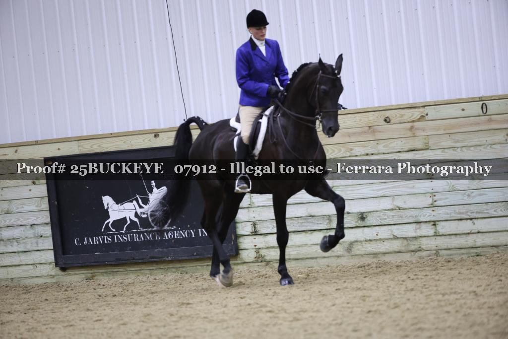 Proof Number 25BUCKEYE_07912