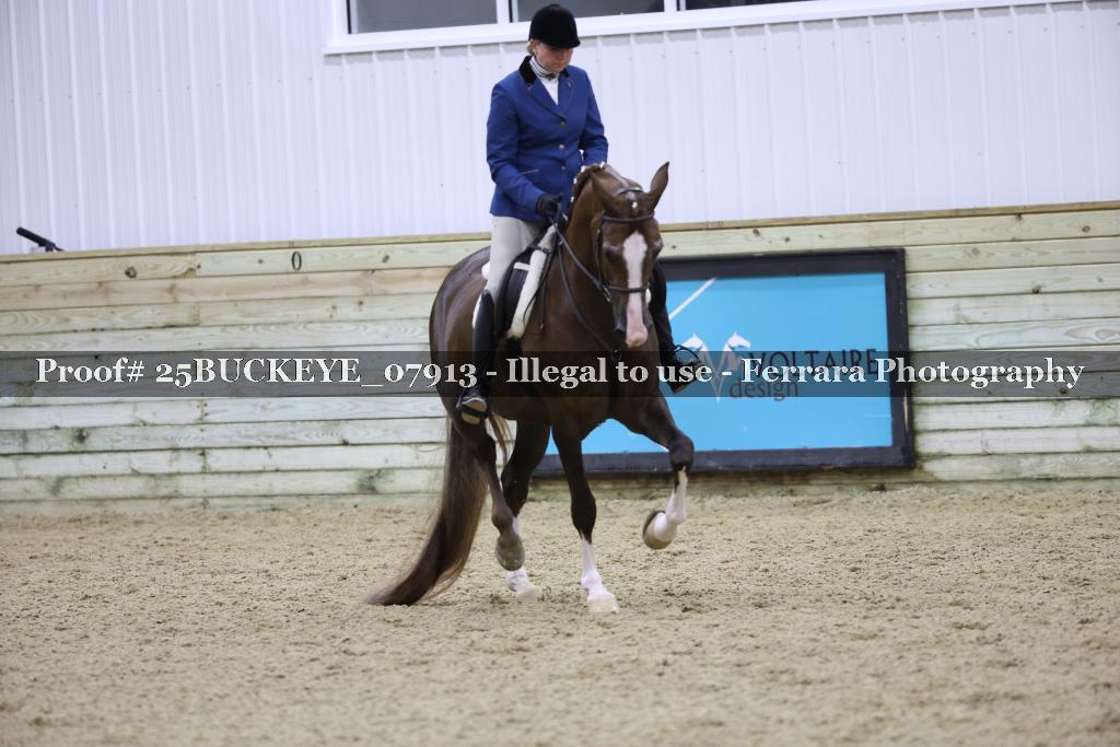 Proof Number 25BUCKEYE_07913