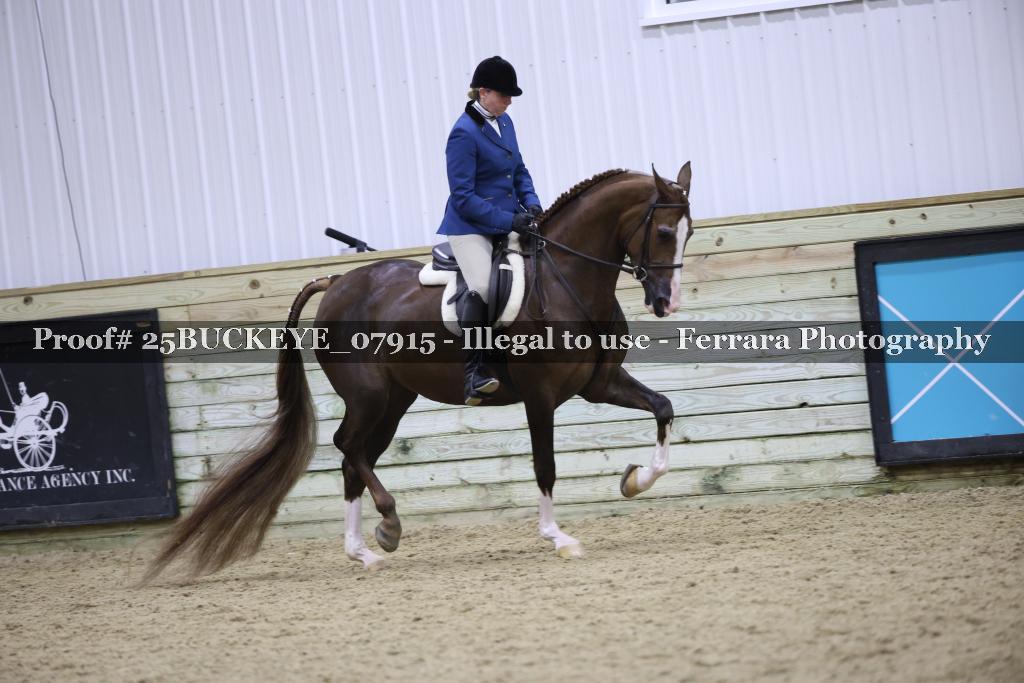 Proof Number 25BUCKEYE_07915