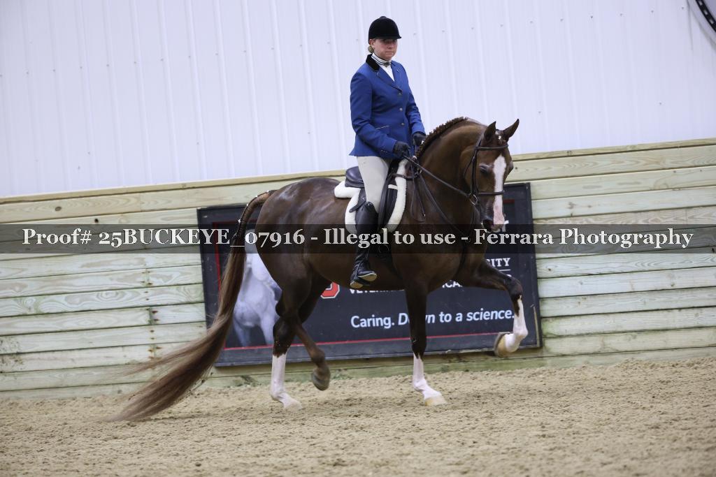 Proof Number 25BUCKEYE_07916