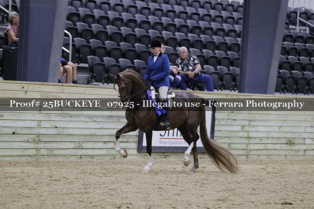 Proof Number 25BUCKEYE_07925