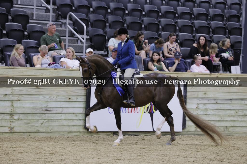 Proof Number 25BUCKEYE_07929