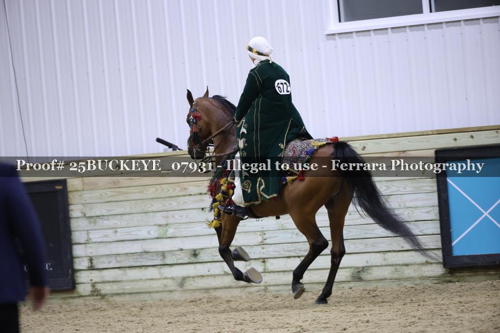 Proof Number 25BUCKEYE_07931