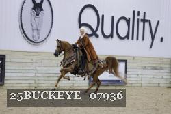 25BUCKEYE_07936 thumbnail