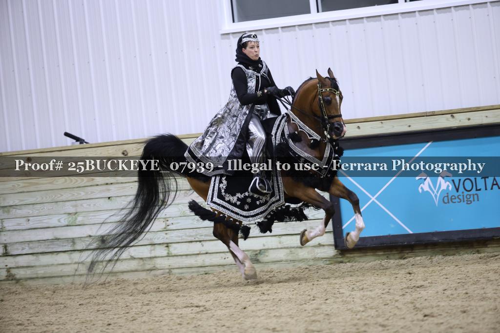 Proof Number 25BUCKEYE_07939