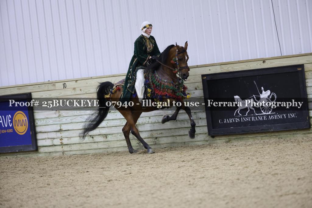 Proof Number 25BUCKEYE_07940