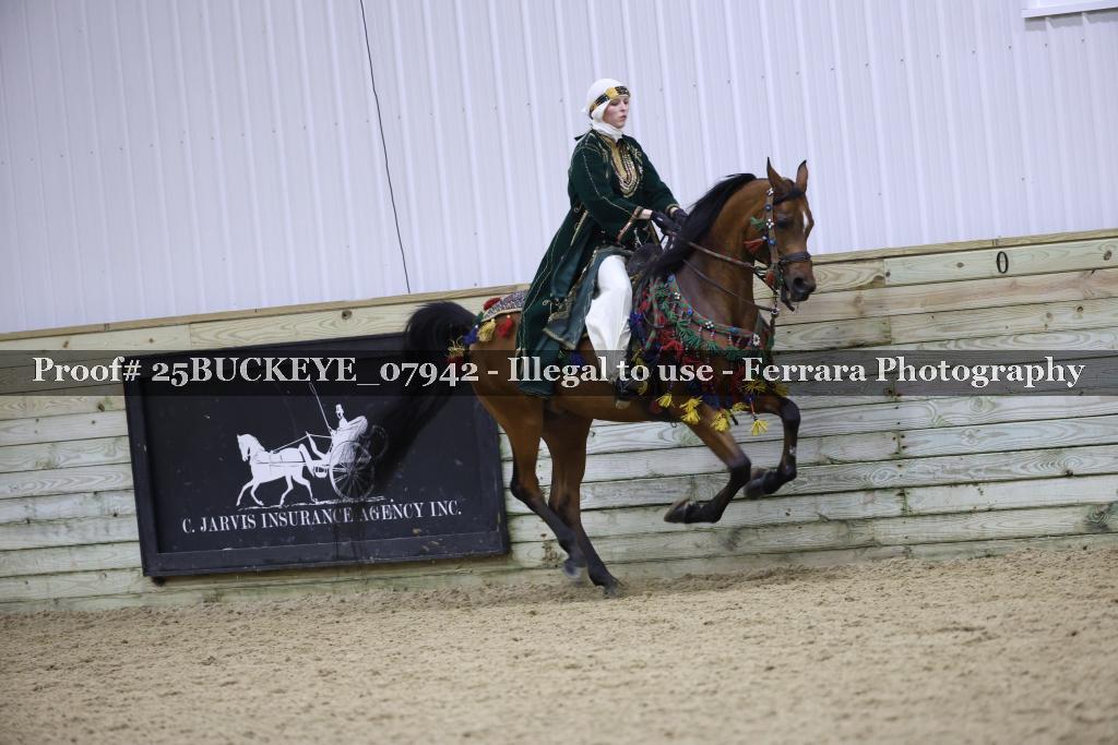 Proof Number 25BUCKEYE_07942
