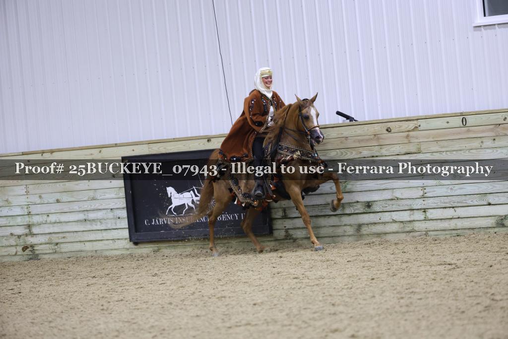 Proof Number 25BUCKEYE_07943
