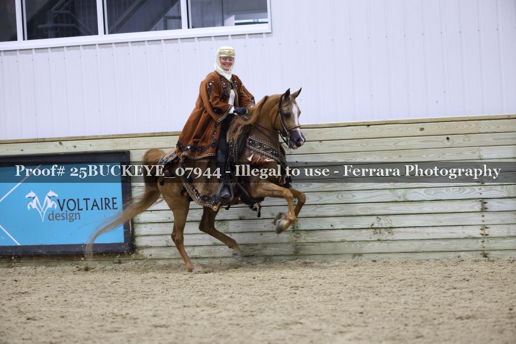 Proof Number 25BUCKEYE_07944
