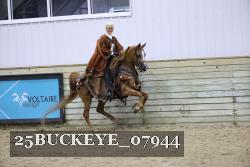 25BUCKEYE_07944 thumbnail