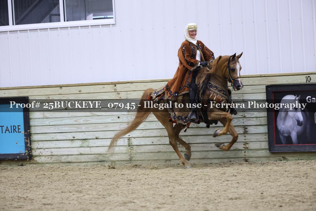 Proof Number 25BUCKEYE_07945