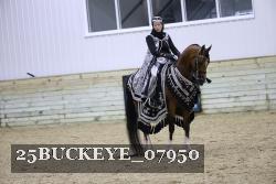 25BUCKEYE_07950 thumbnail